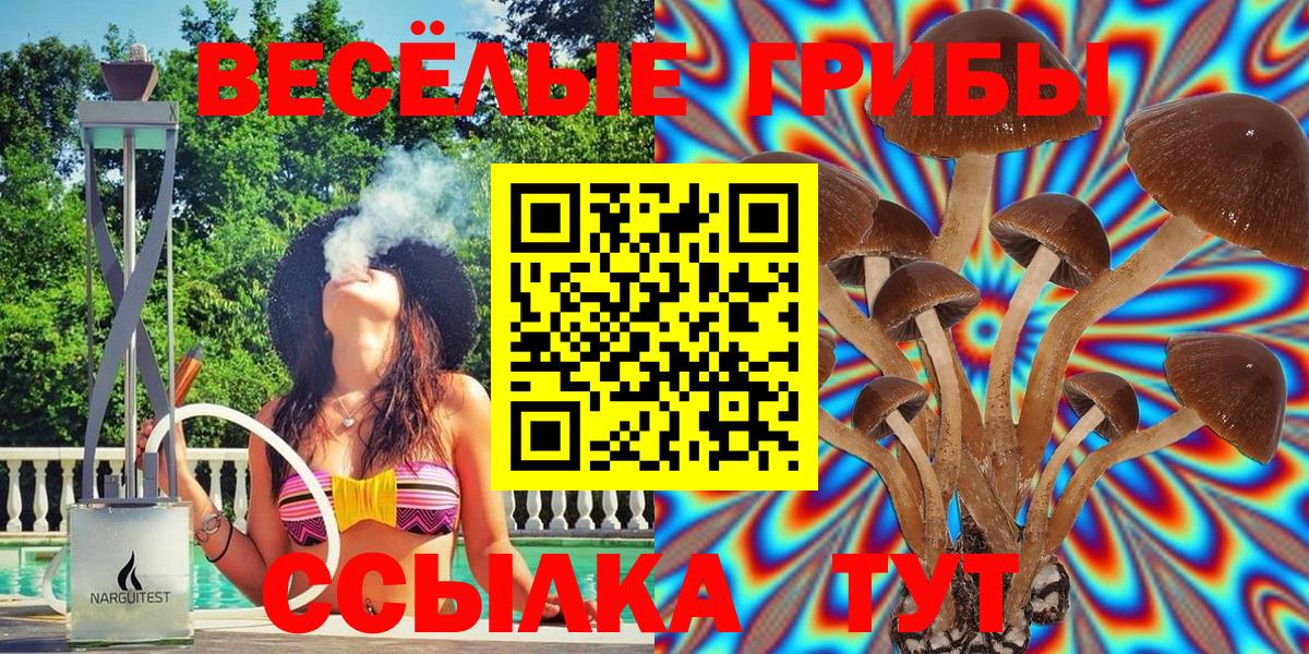 Галлюциногенные грибы MAGIC MUSHROOMS Сосновоборск